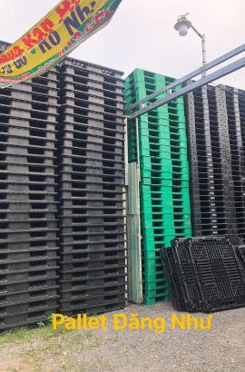 Album Pallet Đăng Như