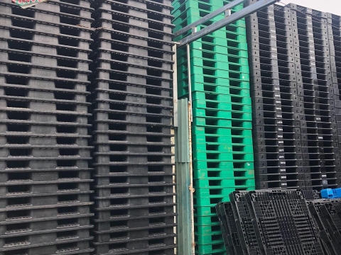 Album Pallet Đăng Như