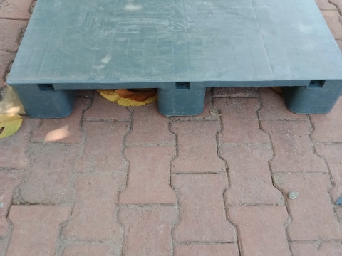 Hình ảnh pallet